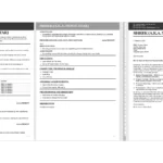 Sleek Simplicity Shrek